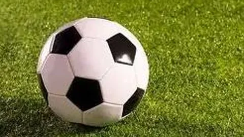 竞技宝官网网址 产品 104338 mxt